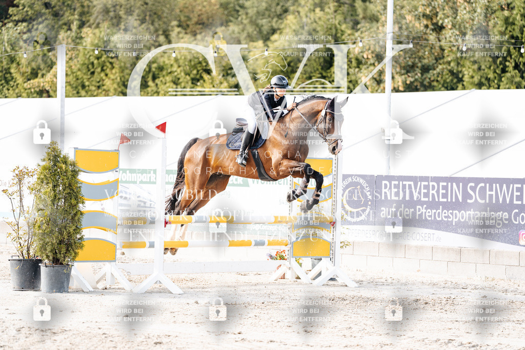 CK906372 | Turnierfotografie Pferdefotografie Trier Rheinland-Pfalz Pferdesport Reitsport Tierfotografie Sportfotografie Pferdevideo Pferdevideografie Equestrianvideography equestrianphotography  - Realisiert mit Pictrs.com