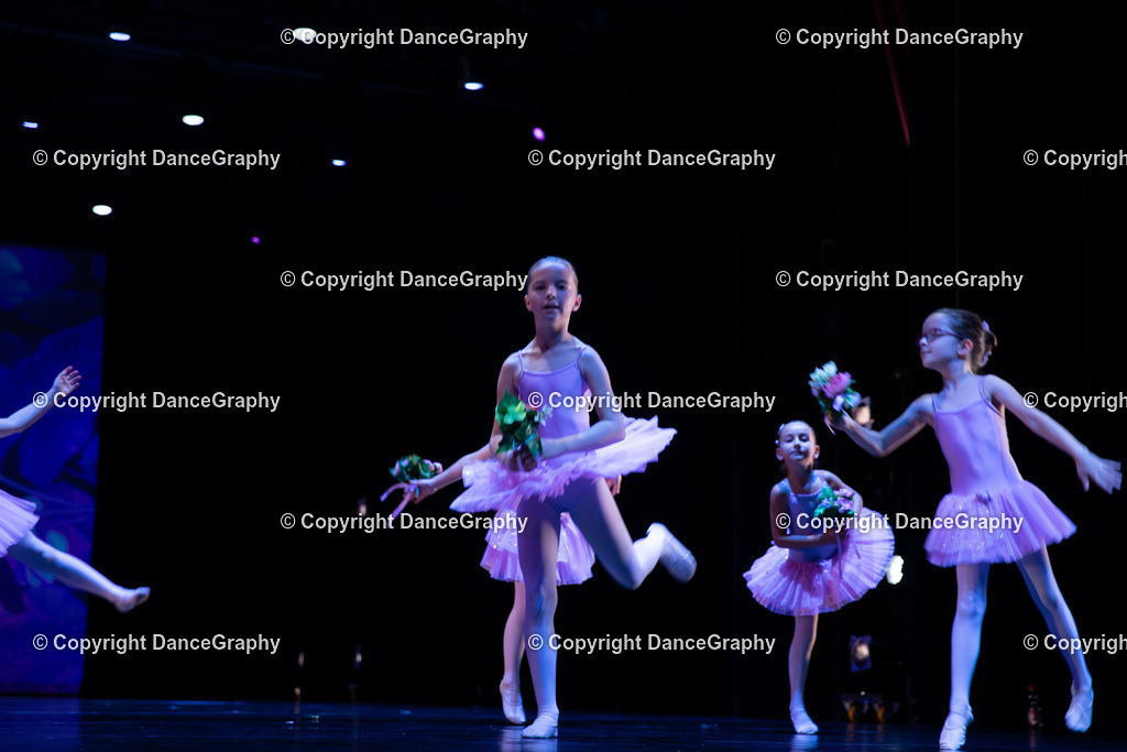 GPHY4894 | DanceGraphy - Realisiert mit Pictrs.com