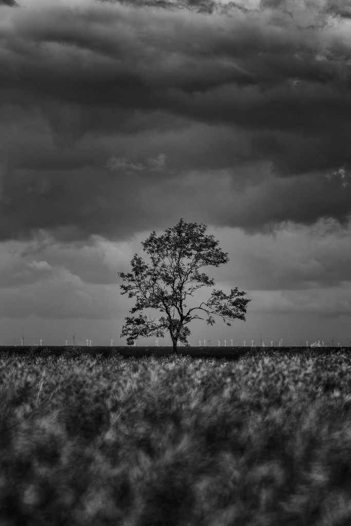 2025_07_09_FEHMARN-LEUCHTTURM+SCHMETTERLINGE_MCP8875 sw | Hochwertig gedruckte Fotografien für die Wand, als Kalender und zum Verschenken. Hamburg & Norddeutschland und überall wo ich mit der Kamera unterwegs war.