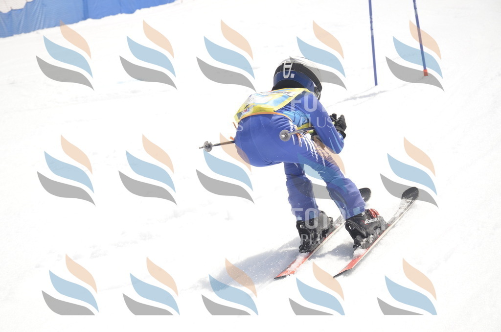 _ELE8777 | holidayphoto