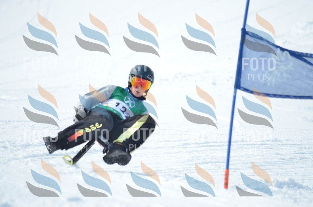 D9278 | holidayphoto