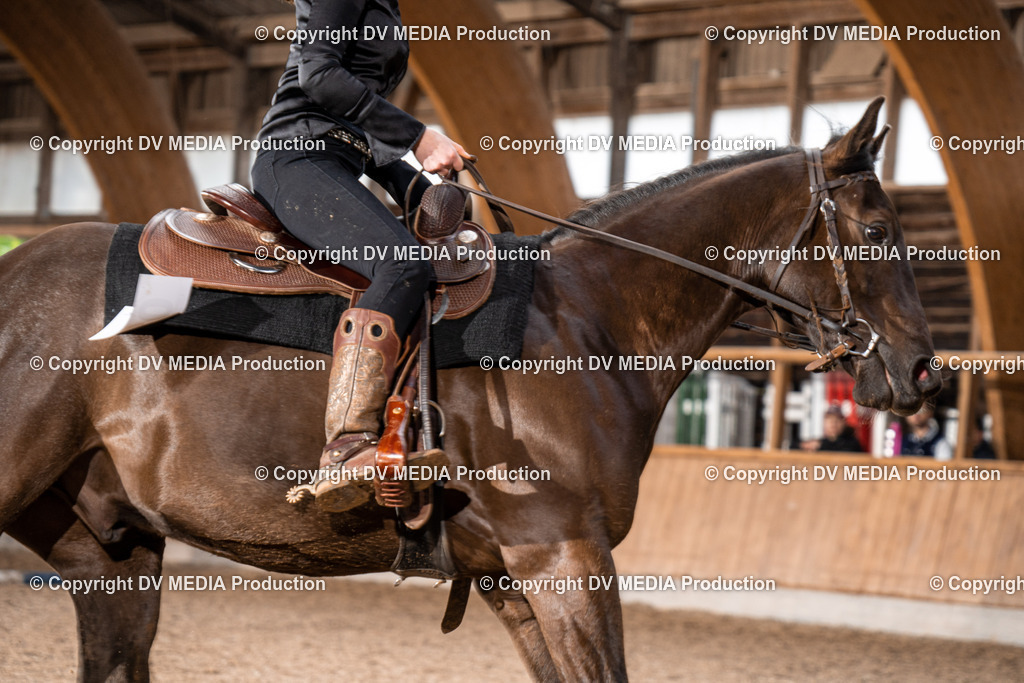 Heidelberg Tag 1-139 | dv-media-shop - Realisiert mit Pictrs.com