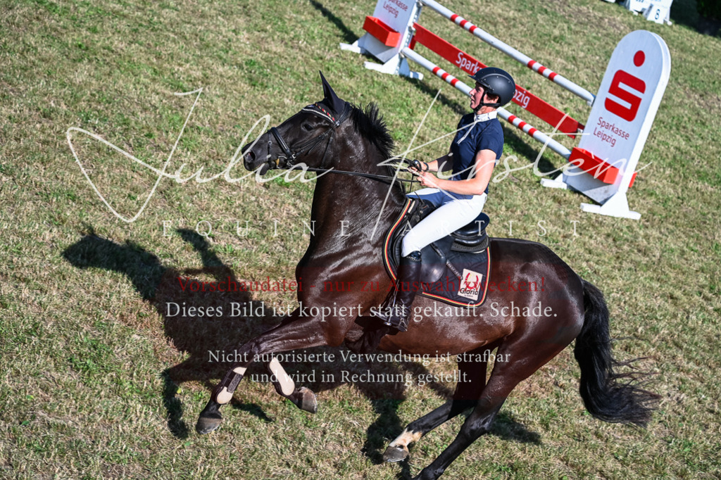 DSC_2536 | Pferde- und Turnierfotografie in Westsachsen. Pferdeportraits, Auftragszeichnungen und intuitive Kunst.