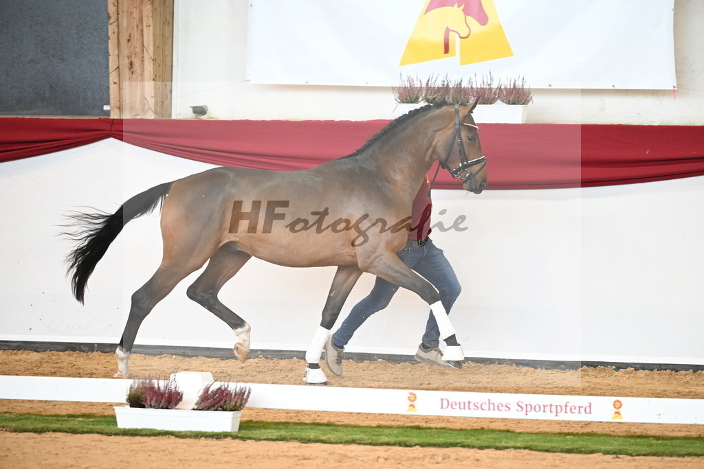 Kat-Nr. 10 Bonds x Scuderia_Torweihen_47241902 | hf-fotografie - Realizzato con Pictrs.com