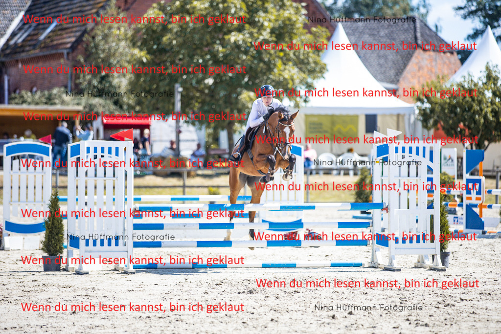 BK1A5279 | Turnierbilder Turnierfotos Nina Hüffmann Turnierfotografie Pferdefotografie Tierzeichnung Haustierzeichnung Pferdezeichnung Hundezeichnung Videograf  - Realisiert mit Pictrs.com