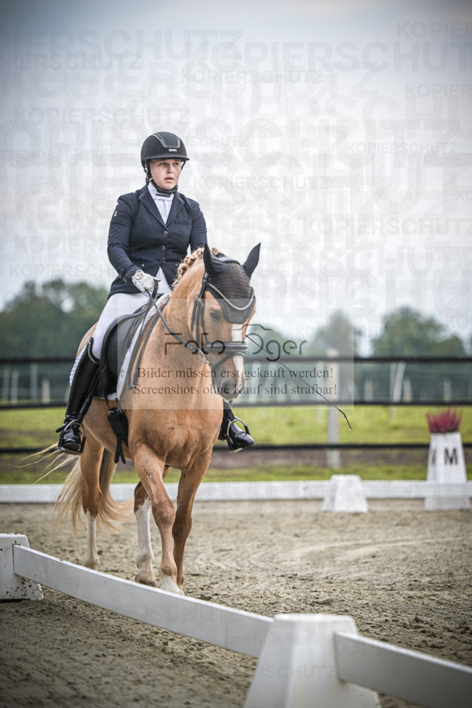 DOS_2064 | Entdecke hochwertige Reitturnierfotos von Foto Oger. Professionell, emotional und authentisch – jetzt Lieblingsmomente im Shop bestellen.Deutschlandweite Turnierfotografie. - Realisiert mit Pictrs.com