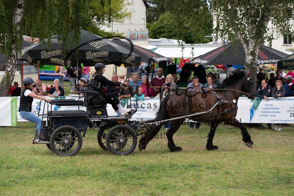 A7V06139 | Turnier/Reitfotograf