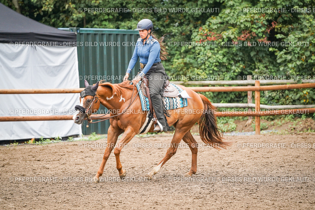 DSC02360 | Pferdegrafie