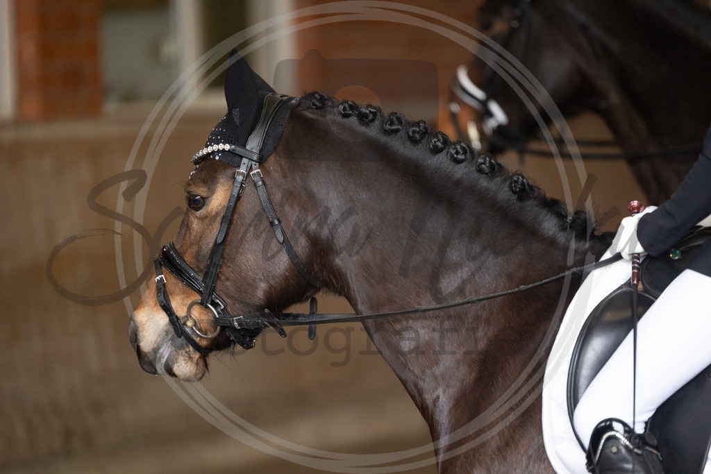 994A9028 | sabrinanicolaifotografie - Realisiert mit Pictrs.com