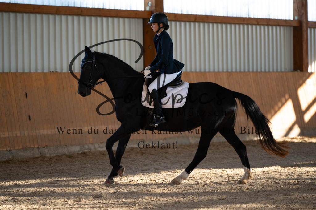 A7V01624 | Turnier/Reitfotograf