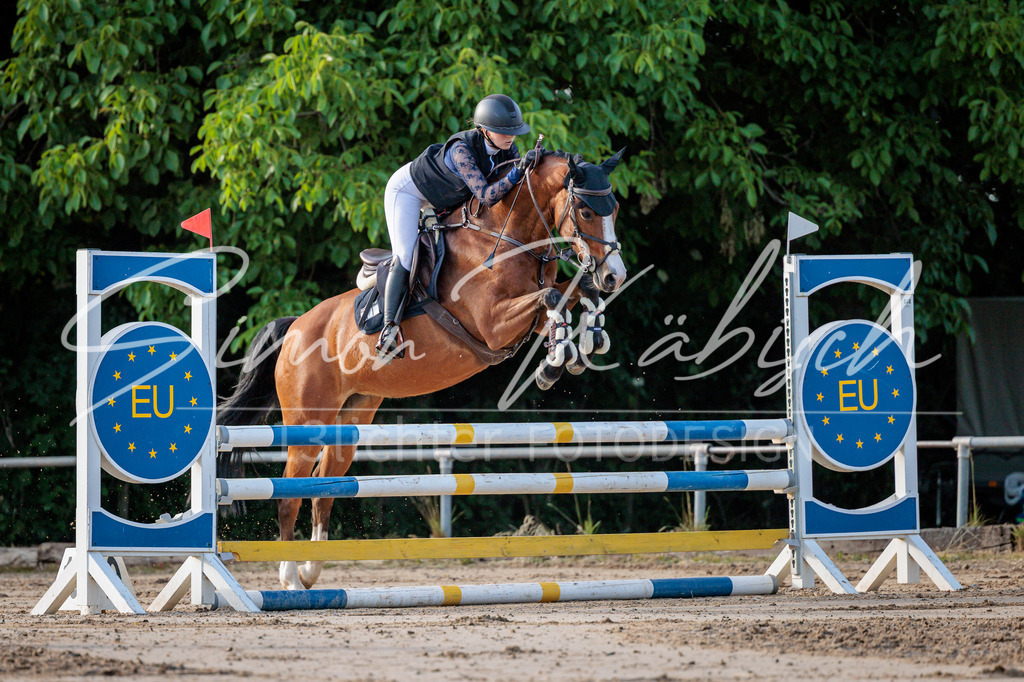 20260529-_3LI1016 | Tierfotografie Pferde, Hunde, Katzen, Haustiere.
Turnierfotografie Reitturniere, Reiten, Springreiten, Dressur in Hanau, dem Main-Kinzig-Kreis und dem Rhein-Main- Gebiet um Frankfurt