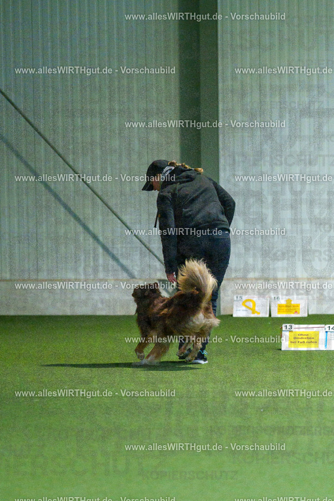 7R502834 | Professionelle Tierfotografie in Mönchengladbach von Daniel Wirth (allesWIRTHgut). Liebevolle & natürliche Bilder von Hunden & Katzen für unvergessliche Erinnerungen.