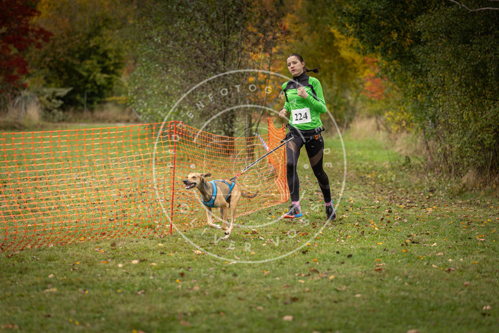 Pfotenfotografie_DV3A4596 | Hundefotografie, Tierfotograf, Pfotenfotografie, Fotoshooting Hund, Hunde Portrait, Hundesport, Hundeportraits, Heideshooting, Hunde, Sportfotograf, Hundefotograf, Turnierhundsport, THS,  - Realisiert mit Pictrs.com
