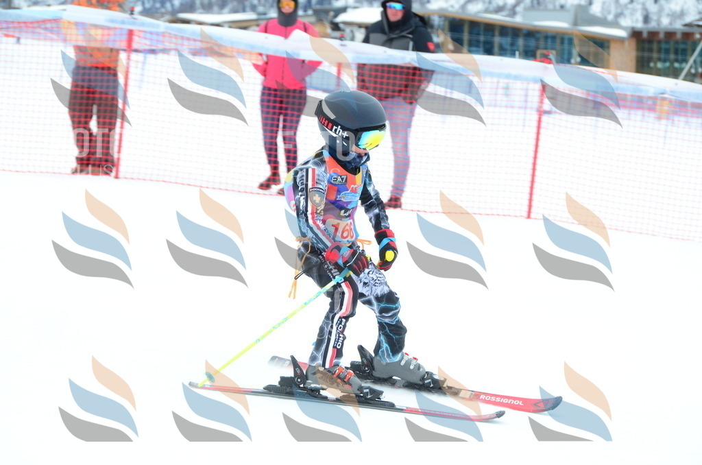 DSC_1570 | holidayphoto