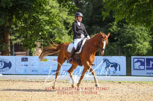 DKP42951 | Turniersportfotografie; Pferdefotografie; Dressurfotografie