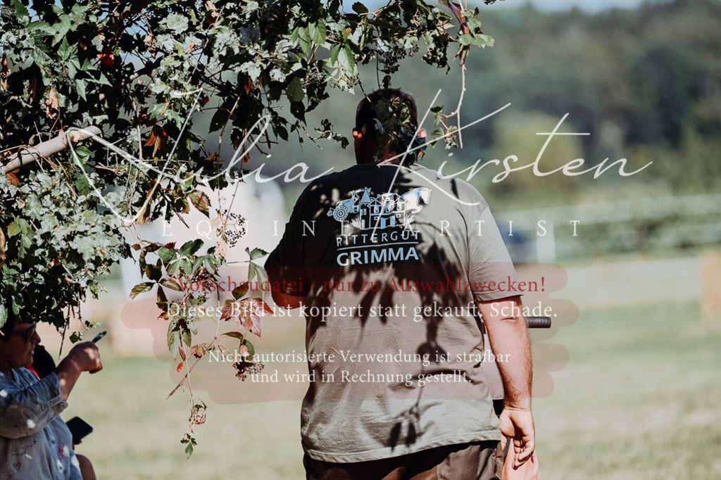 DSC_8785 | Pferde- und Turnierfotografie in Westsachsen. Pferdeportraits, Auftragszeichnungen und intuitive Kunst.