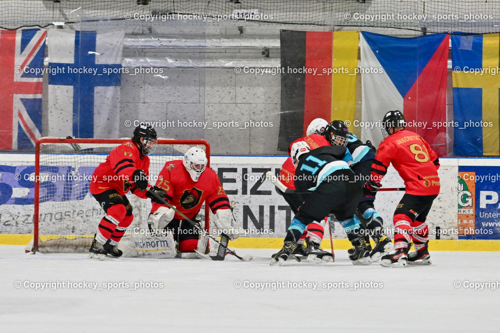 Lendhafen Seelöwen vs. Spartans Althofen | #77 Schumnig Stefan Spartans Althofen, #25 Mayrobnig Marco Spartans Althofen, #11 Göhringer Marius Lendhafen Seelöwen, #81 Jakobitsch Silvio Spartans Althofen, Lendhafen Seelöwen vs. Spartans Althofen, Lendhafen Seelöwen vs. Spartans Althofen am 14.02.2025 in Ferlach (HTC Eishalle Ferlach), Austria, (Photo by Bernd Stefan)