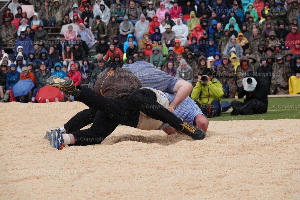 DSC03724 | Schwingen - Realisiert mit Pictrs.com