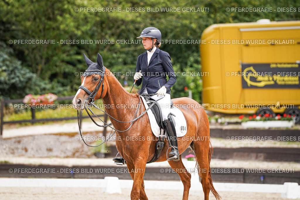 DSC04813 | Pferdegrafie