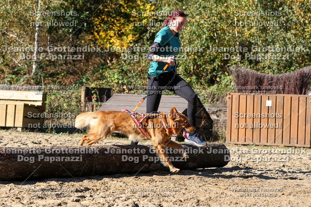 Dog Paparazzi - Strongdog 10-25-2709 | Dog Paparazzi Jeanette Grottendiek Fotografie & Videografie - Realisiert mit Pictrs.com