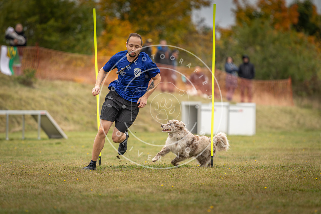 Pfotenfotografie_DV3A5462 | Hundefotografie, Tierfotograf, Pfotenfotografie, Fotoshooting Hund, Hunde Portrait, Hundesport, Hundeportraits, Heideshooting, Hunde, Sportfotograf, Hundefotograf, Turnierhundsport, THS,  - Realisiert mit Pictrs.com