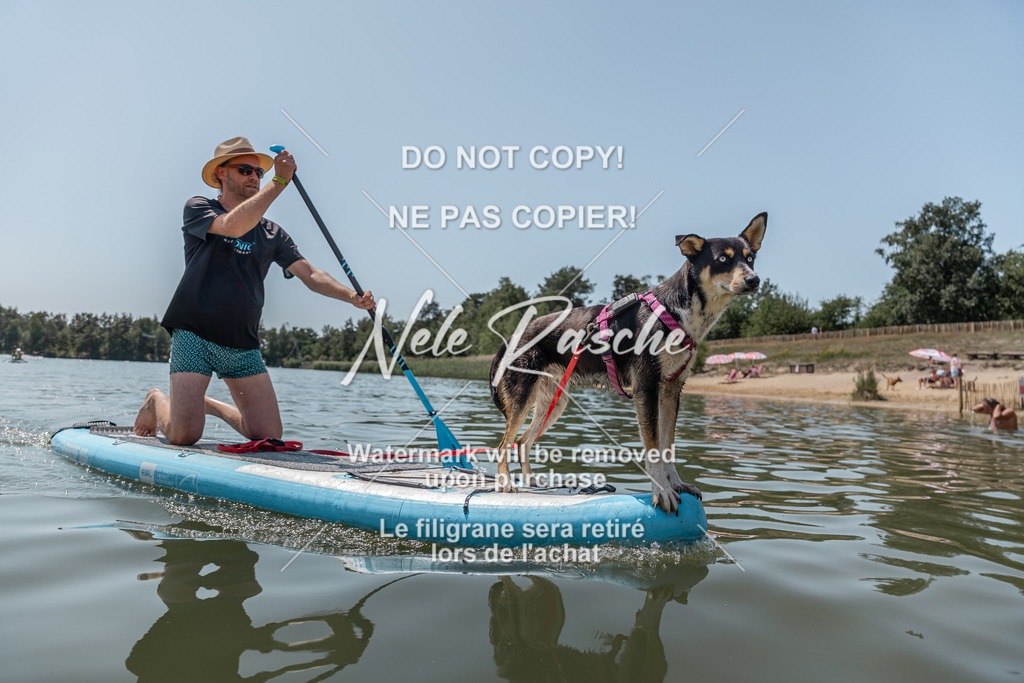 nelerasche_saSUP1_202 | nelerasche