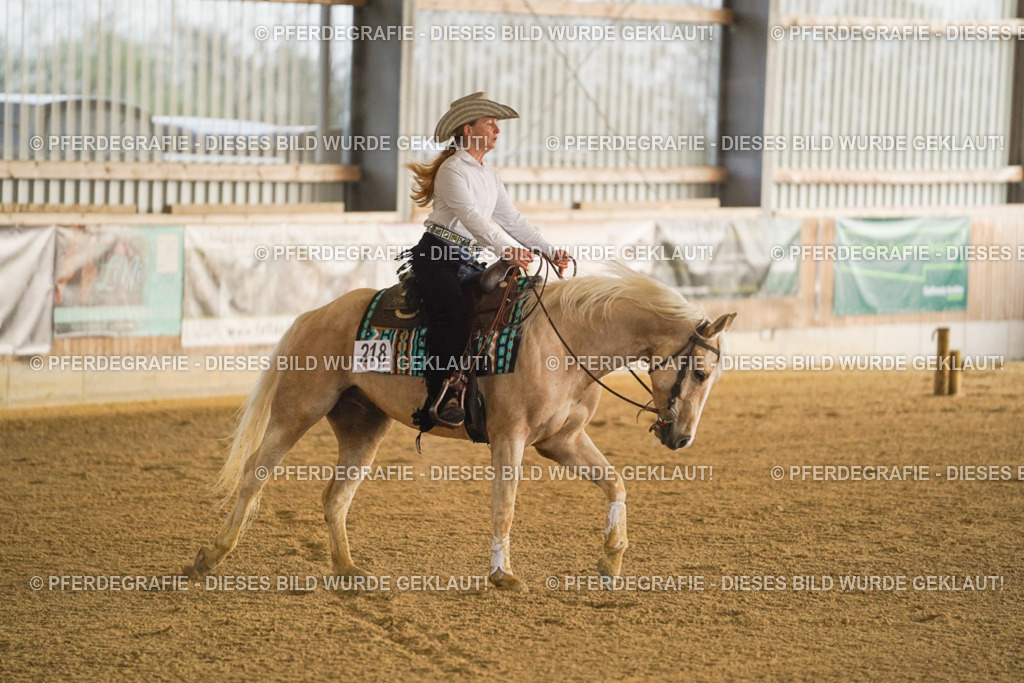 DSC09382 | Pferdegrafie