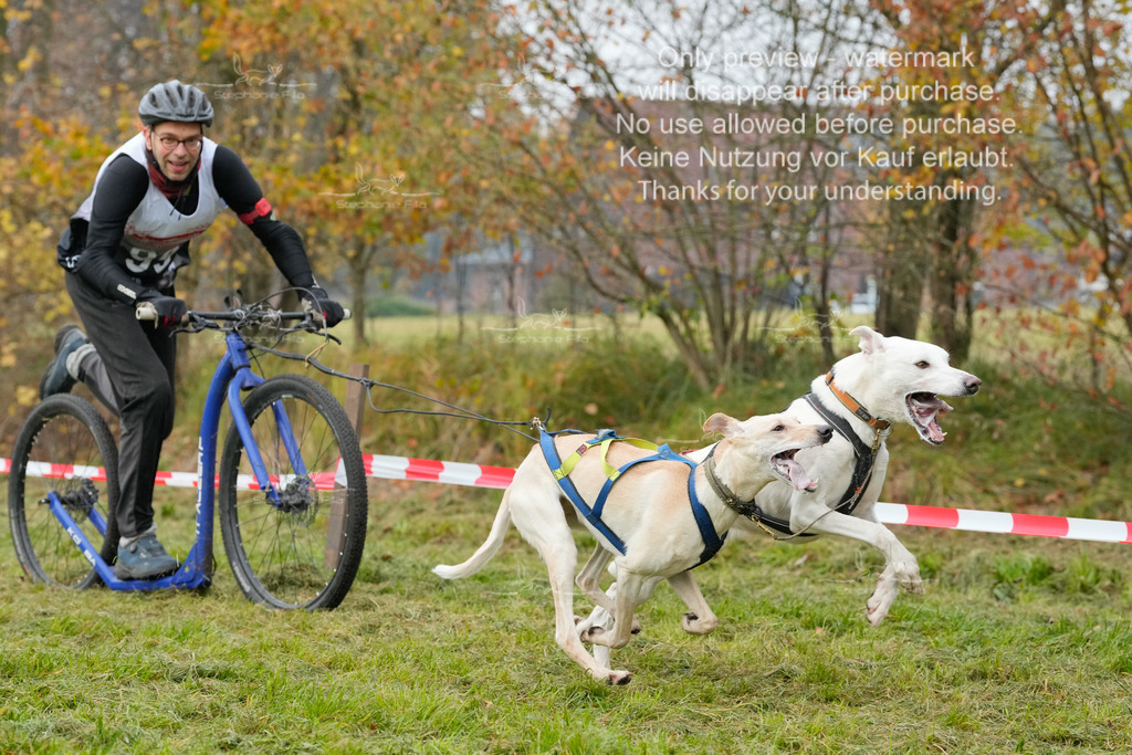 Visbeck_Sa_DS2DR2-36 | stephaniefillaphotographie - Realisiert mit Pictrs.com