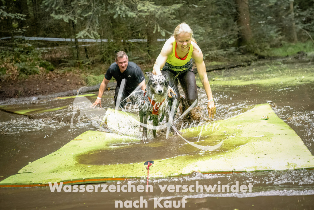 1501_ZZ94368-Bearbeitet | kk-dogfotos