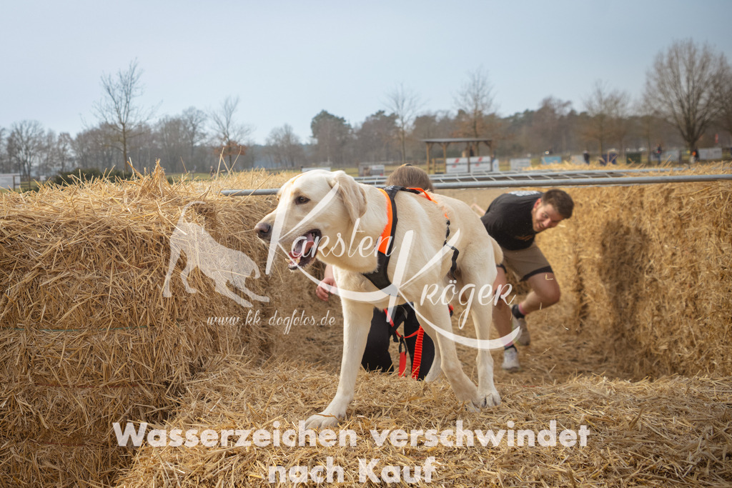1017_ZZ93663 | kk-dogfotos