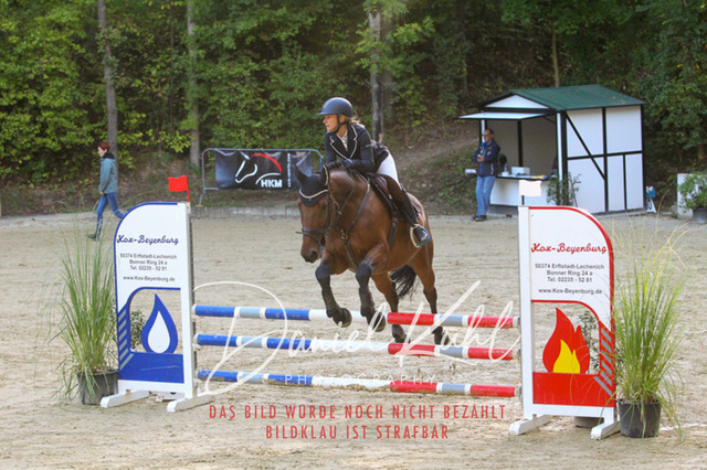 DKP42686 | Turniersportfotografie; Pferdefotografie; Dressurfotografie