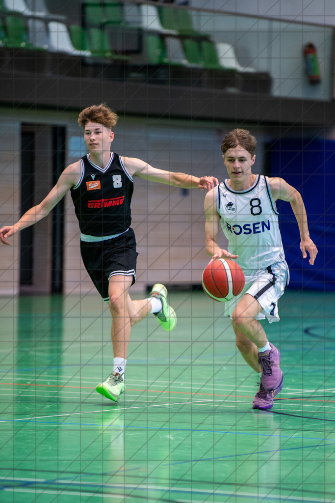 @Martin König_20240623__DSC2194 | bullenfotos|de - Realisiert mit Pictrs.com