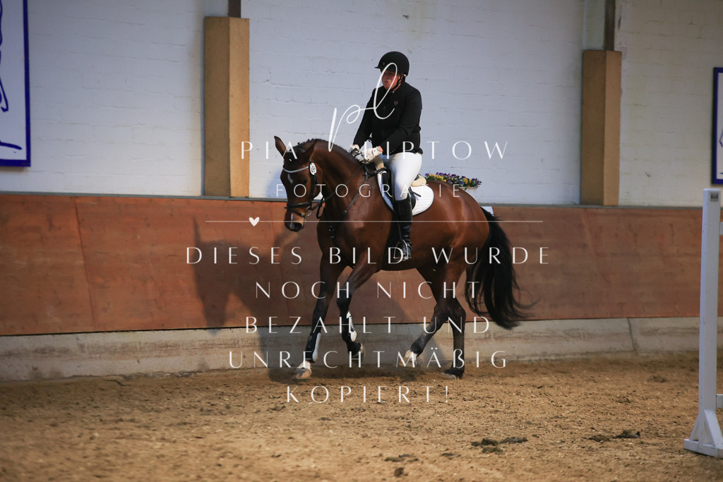 IMGT1683 - Kopie | pl-fotografie