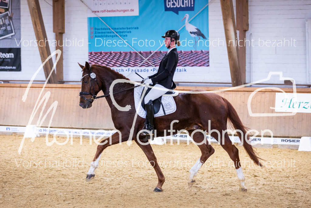 Sth-A-Dre-2St-157 | MomenTaufnahmen Pferdesportfotos