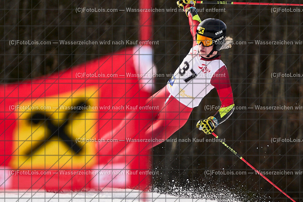 ALP8348_Herrn-FIS-GS-II_Lackenhof-WY_Gstrein Niklas | Internationaler FIS GiantSlalom der Herrn auf der Distelpiste in Lackenhof am Di 11. März 2025.  Österreich, LSV-NÖ, Sportunion Waidhofen/Ybbs (2035).