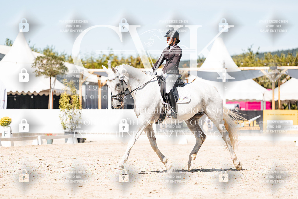 CK909869 | Turnierfotografie Pferdefotografie Trier Rheinland-Pfalz Pferdesport Reitsport Tierfotografie Sportfotografie Pferdevideo Pferdevideografie Equestrianvideography equestrianphotography  - Realisiert mit Pictrs.com