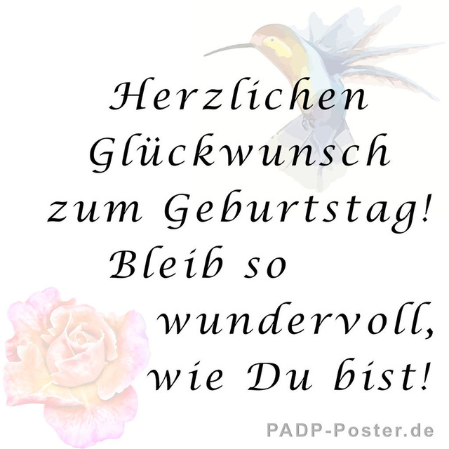 padp-meme-05l-sinnvolle-geburtstagssprueche-fuer-frauen | Bildidee ❤ Günstige Poster 20x30 ab 4,99 € in Galeriequalität. ► Lizenzfreie Traumposter und Kunstkopien direkt im Bilderdepot der Artothek herunterladen, kaufen oder bestellen ❤ Public-Art & DIY-Project ❤ - Realisiert mit Pictrs.com