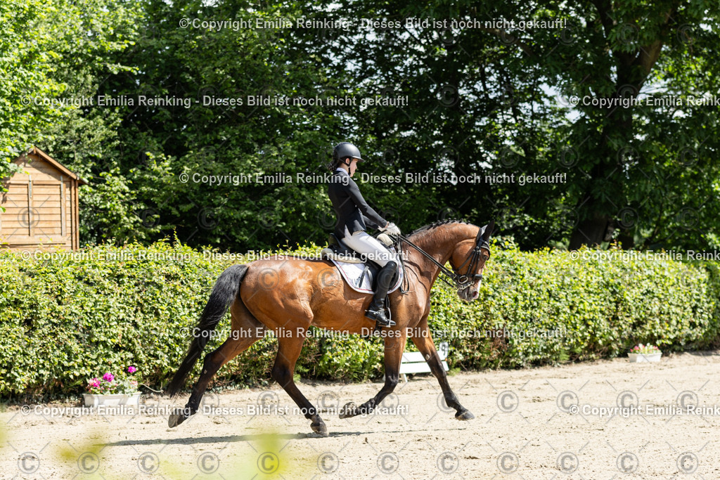 CL5A7917 | Emilia Reinking Fotografie - Realisiert mit Pictrs.com