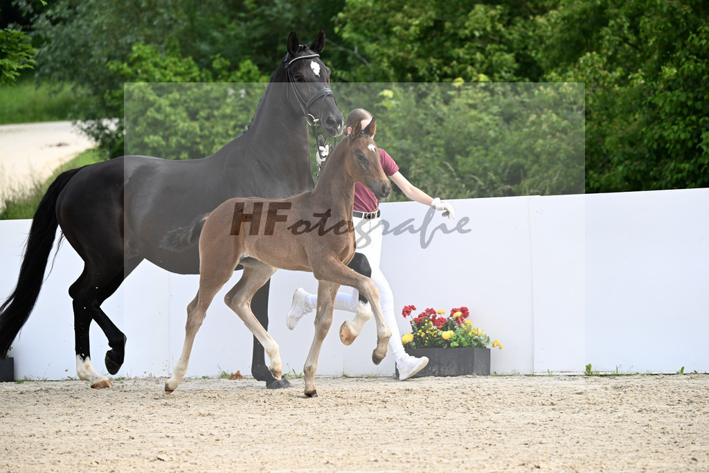 Escaneno x San Amour I_HF_Ederle_13250153 | hf-fotografie - Realizzato con Pictrs.com