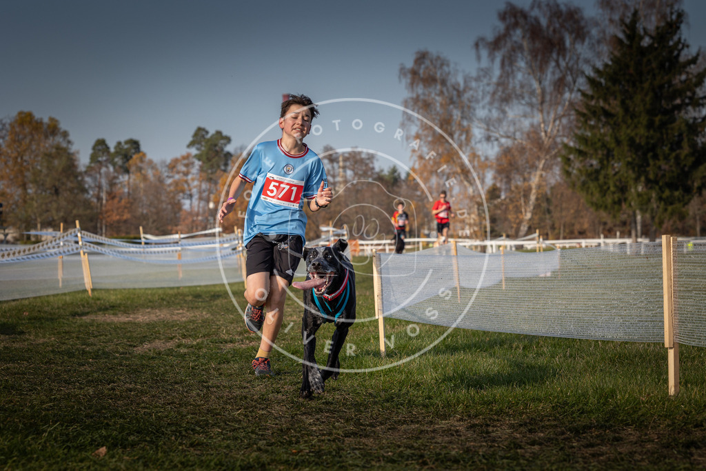 CaniXpix_0L8A9620 | Hundefotografie, Tierfotograf, Pfotenfotografie, Fotoshooting Hund, Hunde Portrait, Hundesport, Hundeportraits, Heideshooting, Hunde, Sportfotograf, Hundefotograf, Turnierhundsport, THS,  - Realisiert mit Pictrs.com