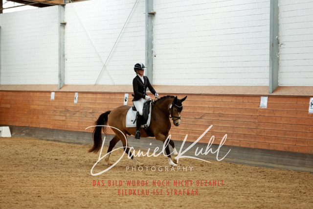 _62_5393 | Turniersportfotografie; Pferdefotografie; Dressurfotografie