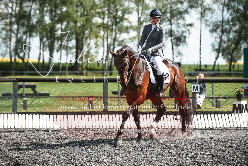 DSC_8955 | Pferde- und Turnierfotografie in Westsachsen. Pferdeportraits, Auftragszeichnungen und intuitive Kunst.