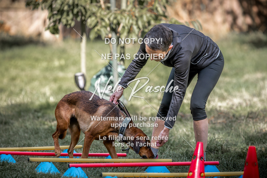nelerasche_slaw24Sa_131 | nelerasche