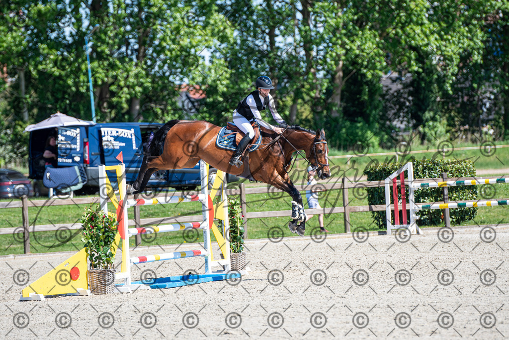 KPT_1109 | andre_photographic