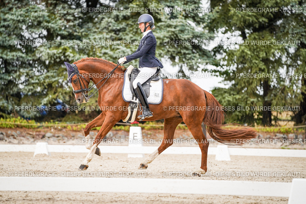 DSC09202 | Pferdegrafie