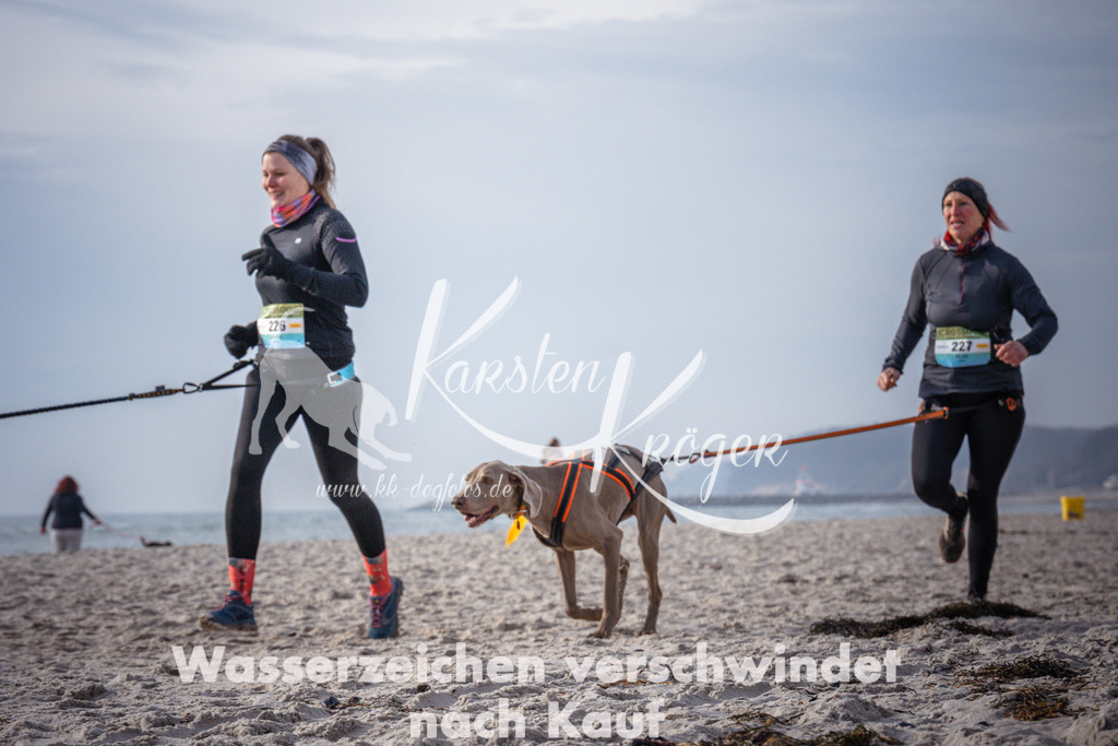 1015_ZZ94416 | kk-dogfotos