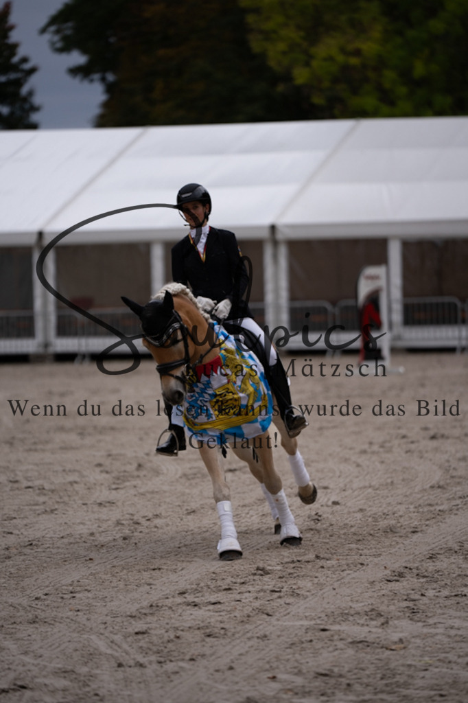 A7V01253 | Turnier/Reitfotograf