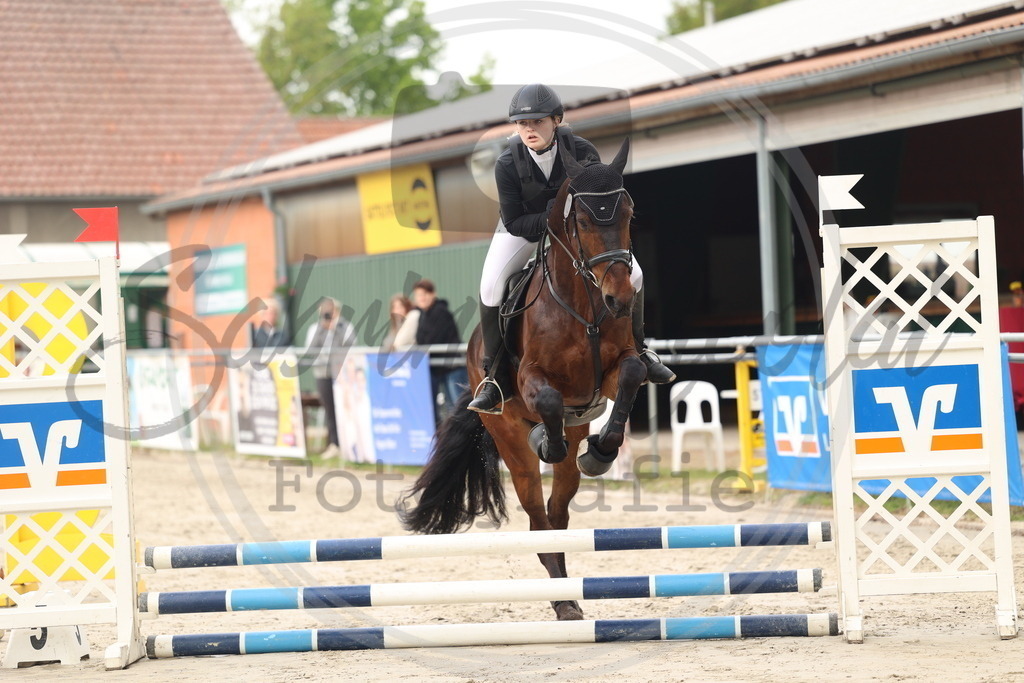 994A8390 | sabrinanicolaifotografie - Realisiert mit Pictrs.com