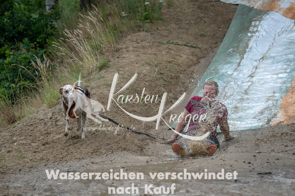 1646_ZZ90084-Bearbeitet | kk-dogfotos