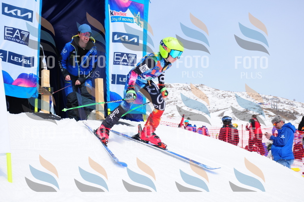 DSC_2337 | holidayphoto